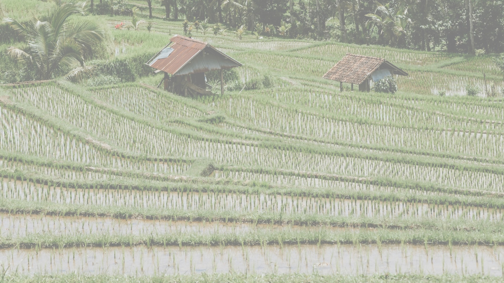 Naturland members assembly, workshop on water and soil conservation & ICS Training