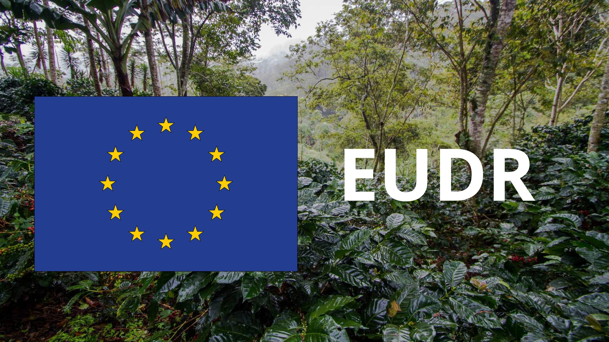 Exchange on EU Deforestation Regulation (EUDR)