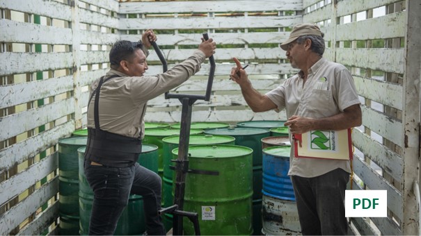 Certificación en grupo con sistemas de control interno