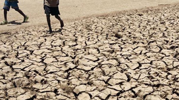 Agricultural work in a changing climate: Implications of heat stress on occupational health and safety