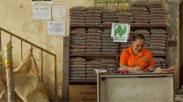 Understanding Internal Control Systems (ICS)