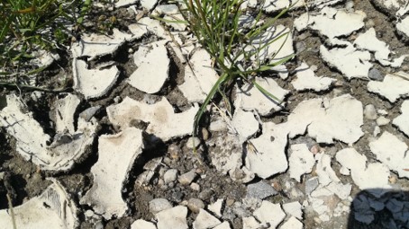 Threats of Soil Degradation