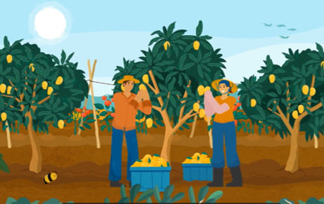 Guarantee Systems - an introduction