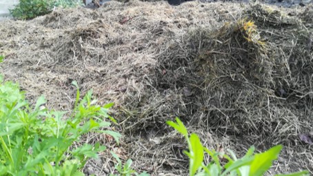 Online Seminar on alternative circular fertilizers